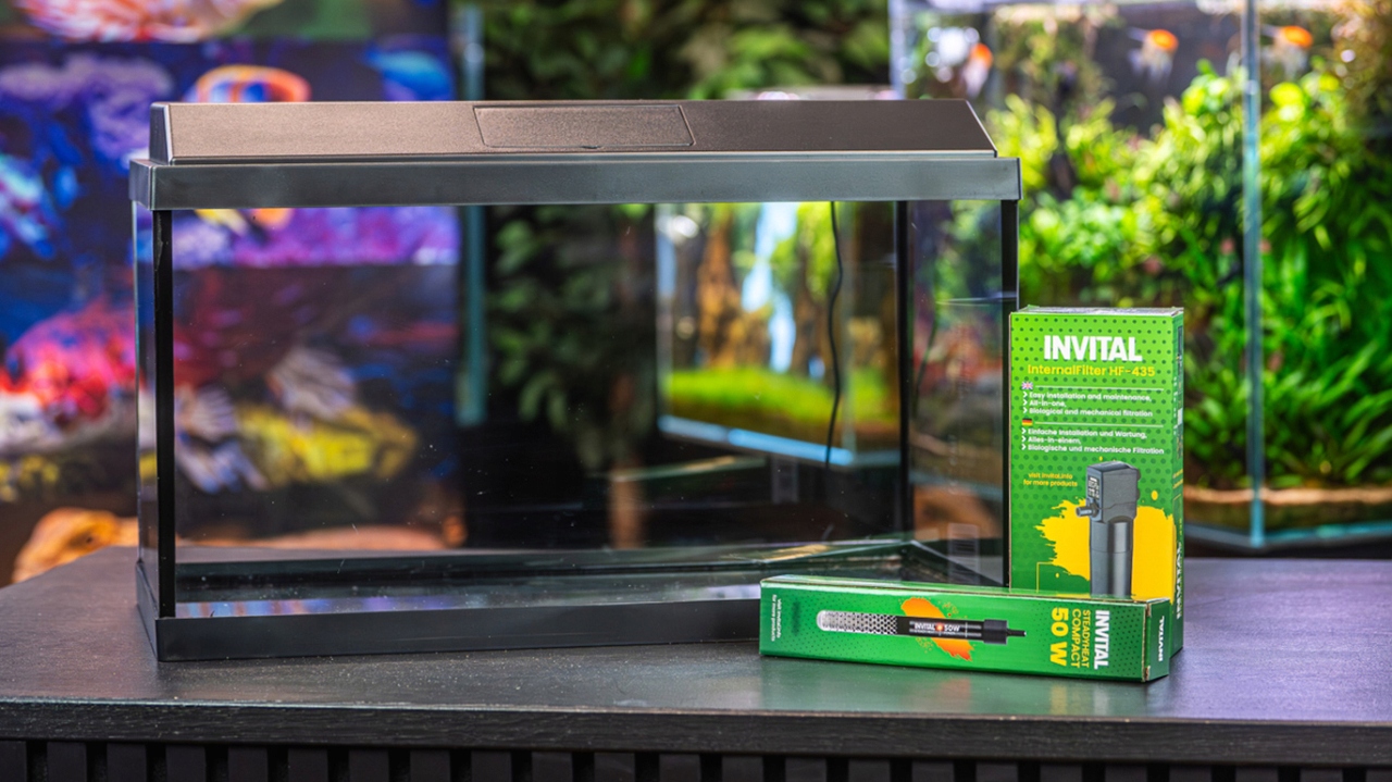 INVITAL LED akvárium 60 l kompletná sada | filter, ohrievač, LED osvetlenie