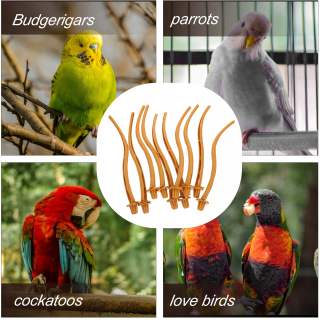 Hračky pre exotické vtáctvo - 10 kusov perch papuga bidlá stojany Budgie stojí