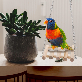 Hračky pre exotické vtáctvo - 13 papagáje Parrots Playst Parrot Foods