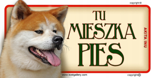 Akita inu dvere