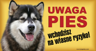 8x stojí za číslo tabuľky s priestorom pre vizitku