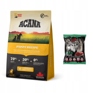 Suché krmivo pre psy granule - Pes golier pre psa s kovovou svorkou M 55 cm