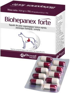BiohePanex Forte 45 kapsúl