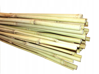 Terrario Myriaton Electronic Termostat