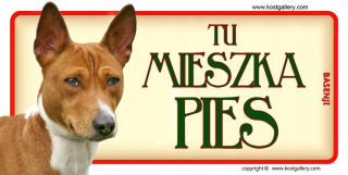 Bazén