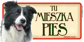 Hranica Collie Dverte Taft