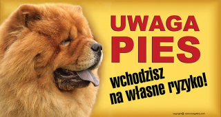 Chow Chow - Doska pozornosti