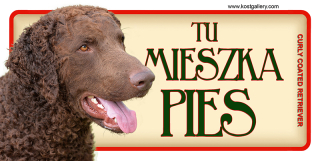 Kučeravé potiahnuté dvere retriever