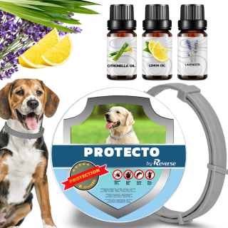 Reverzný obojok proti parazitom DogMed 60 g