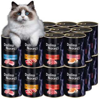 Mix príchutí Dolina Noteci Premium Kot 12x400g