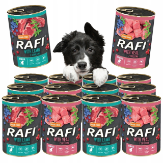 D. NOTECI FOOD RAFI JUNIOR MIX PRÍCHUTI PSA 12x400g