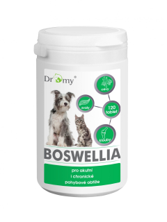 Droms Boswellia Serrata 120t.