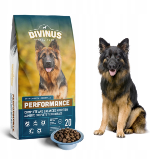Divinus suché krmivo kuracie 20 kg
