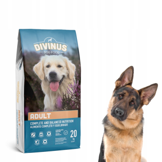 Divinus suché krmivo mix príchutí 20 kg