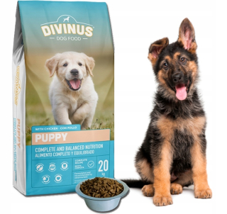 Divinus suché krmivo mix príchutí 20 kg