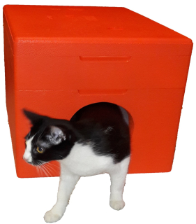 Pelech pre Mačky - Cat Cat Count Vonkajší maľovaný 4cm GR