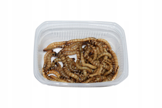 Woodenjad, drevo -eaters 1000 ml