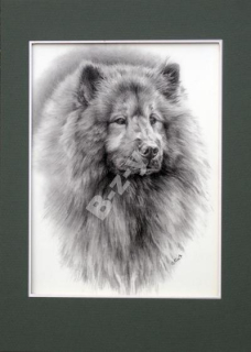 Eurasier Original figure Dog
