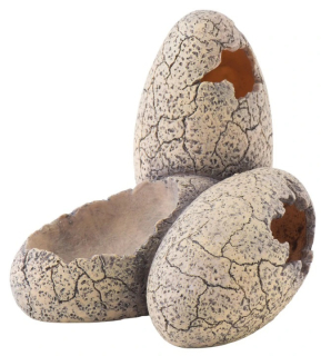 Exo-terra, fosílne vajcia dinosaurov