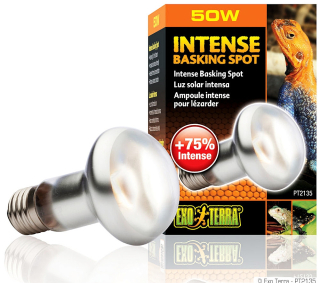 EXO Terra intenzívna 50 W ohrievacia žiarovka