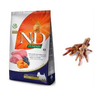 Suché krmivo pre psy granule - Farmina N&D Pumpkin Mini Mini Adult Lamb 7 kg