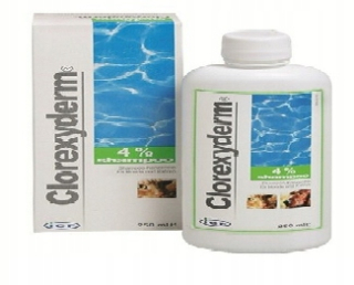 GELINCX CLOREXYDERM ŠAMPÓN 100 ml
