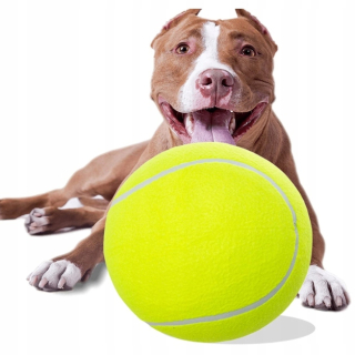 Dog ball Retrieve For Dogs Obrovská lopta pre psov