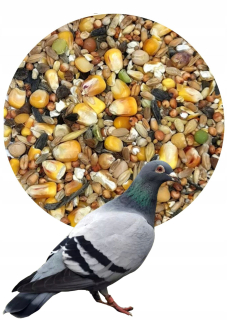 Krmivo pre papagáje - Pigeon - Universal Food - 20 kg zmes krmiva