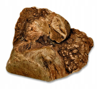 Hryzátko PRE PSOV, koreň čečiny L, prírodné, tvrdé