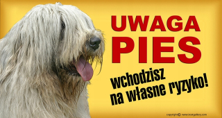 Už južný ruský tanier