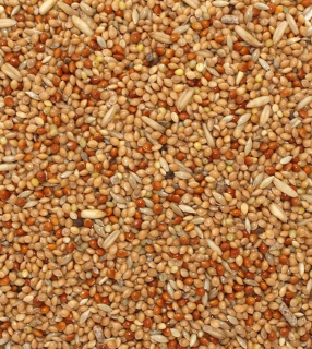 Krmivo pre papagáje - 1pc papagájový hračkársky papagáj pre žuvanie hračiek