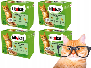 KITEKAT Delikatne Smaki vrecúško 12x85g