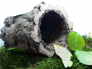 Veľkosť dubovej kôry 20x10 cm trubice skrytie Terrárium