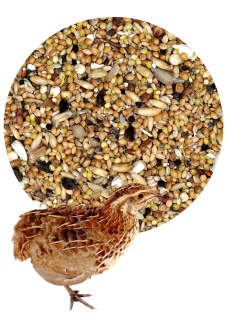 Kŕmiť pre prepelicu 20 kg
