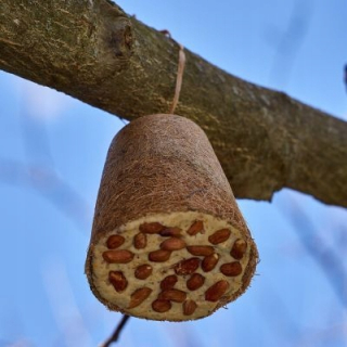 Krmivo pre papagáje - Lillebro Bell s vtákmi zŕn 3 x 250 g