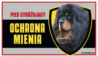 Mastif tibetská pozornosť psie tanier
