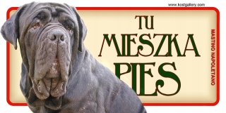 Mastino Napoletano dvere