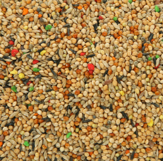 Krmivo pre papagáje - Malý exotický extra motýľ, amadín 10 kg