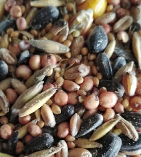Krmivo pre papagáje - Zmes pre zimné vtáky 25 kg
