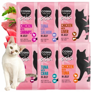 Cosma Asia Mix Box set vrecúško 6x100g