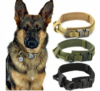 Obojok pre psa - DOG COLLAR MILDOVÝ SHEPHERD TAKTICKÝ XL XL