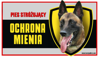 Belgický ovčiak-Malinois