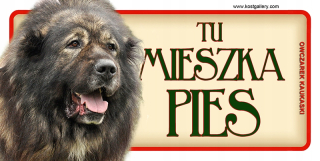 Kaukazský ovčiar