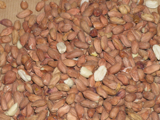Krmivo pre papagáje - Surové arašidy 1 kg