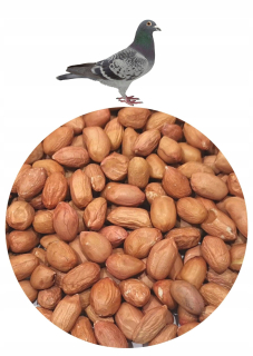 Pre holuby - Hydina na hydinové kurčatá husi kačica 10 kg