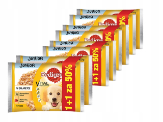 Krmivo pre psy - Pedigree Junior s kuracím mäsom a hovädzím mäsom 32 x 100g