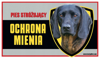 Bavorská kapucňa