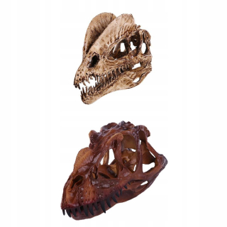 Balíček 2 živici model lebky Dinosaurus Dilophosaurus