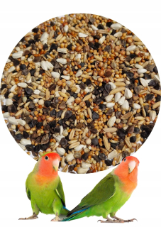 Krmivo pre papagáje - Parrot nawn 10 kg Veľká kvalita propagácie