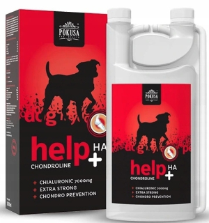 Pokušenie chondroline help+ha 1000 ml pohybu